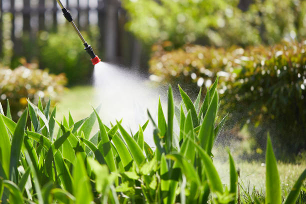 24/7 Emergency Ant Control experts in West Hill, OH